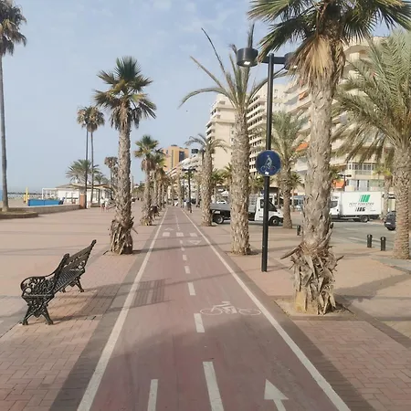 Bel Face A La * Fuengirola