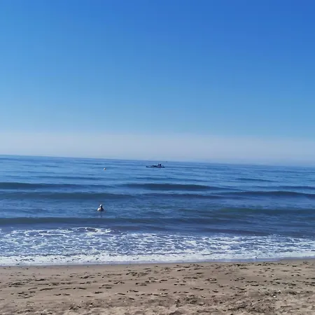 Bel Face A La Lägenhet *