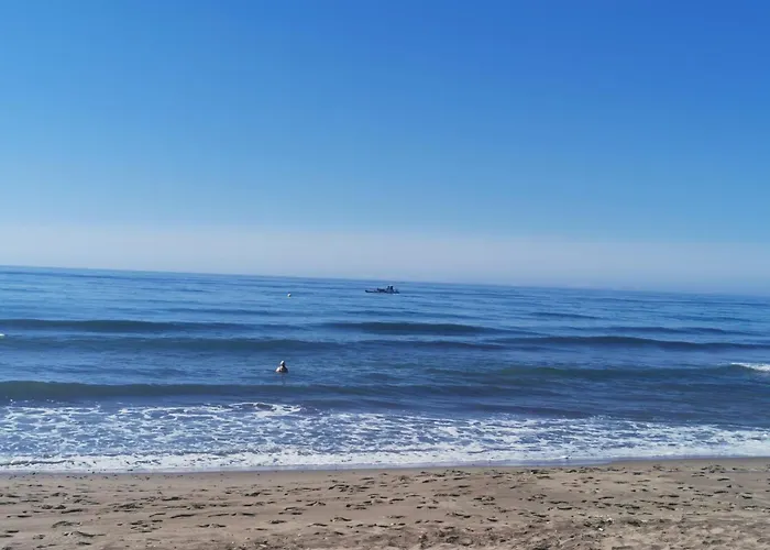 Bel Face A La Lägenhet *